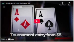 WildPoker.co Texas Hold'em poker Tournaments